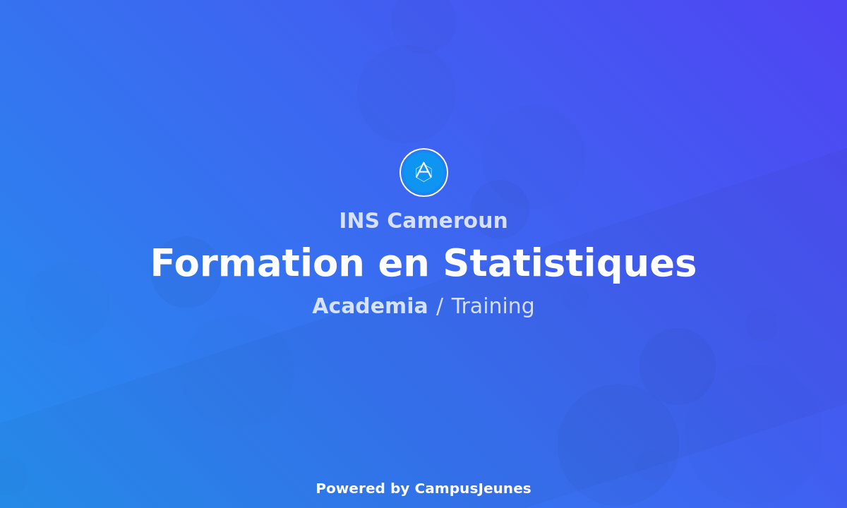 Formation en Statistiques - INS Cameroun