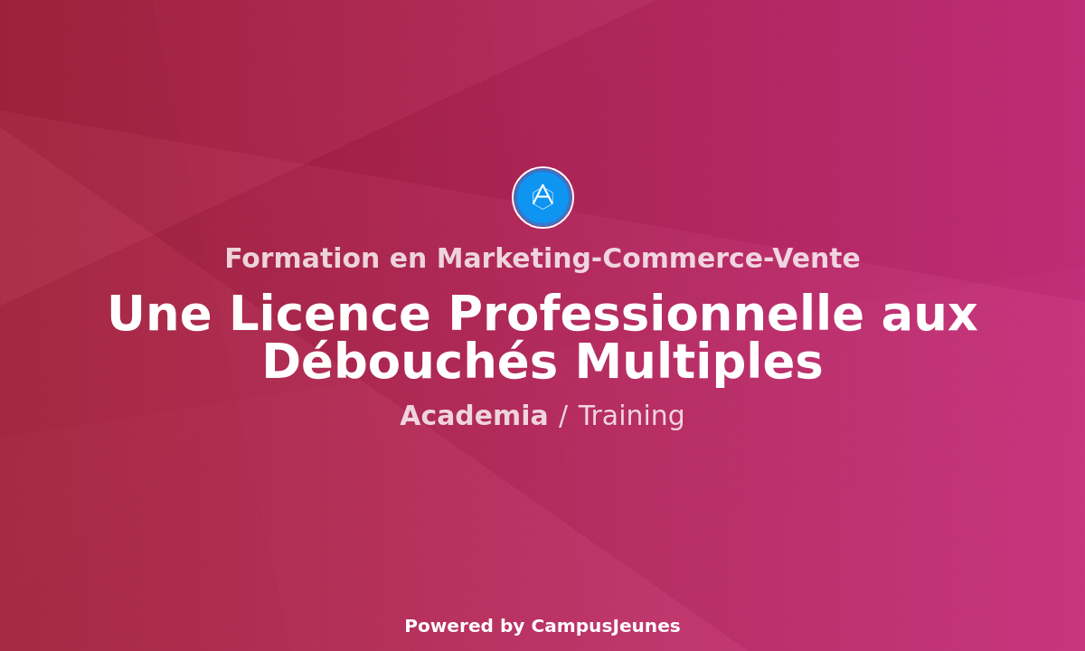Formation en Marketing-Commerce-Vente : Une Licence Professionnelle aux Débouchés Multiples