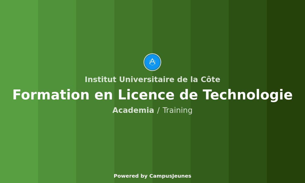 Formation en Licence de Technologie - Institut Universitaire de la Côte
